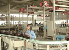 Modle KJM Frame-type Palletizing Machine